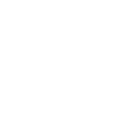 Global Business Networks